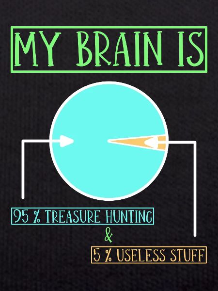 Treasure Hunter Treasure Hunt Metal Detector