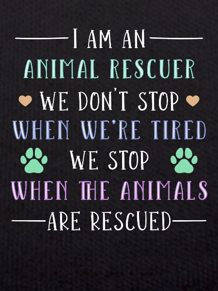 Dog adopts animal welfare