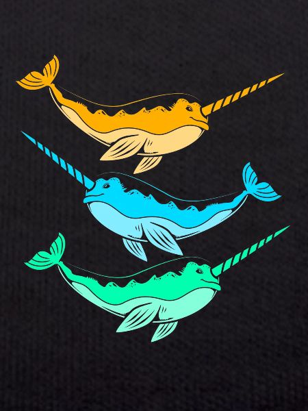 Narwhal