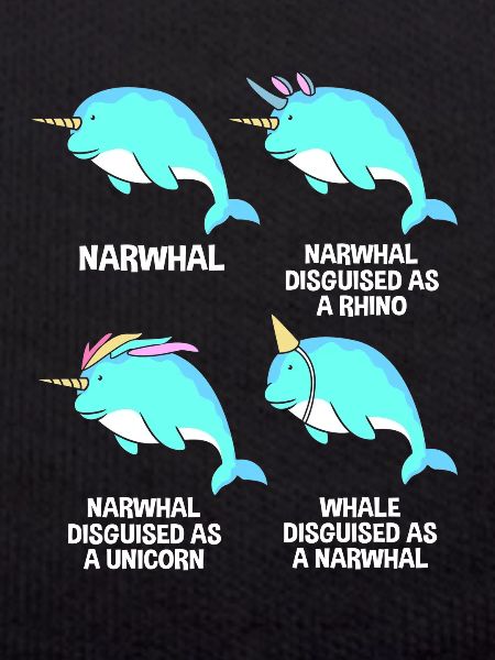 Narwhal