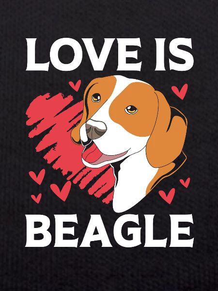 Beagle Papa