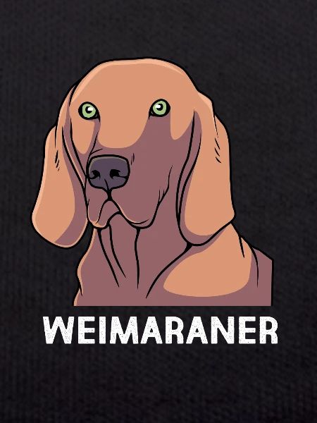 Weimaraner