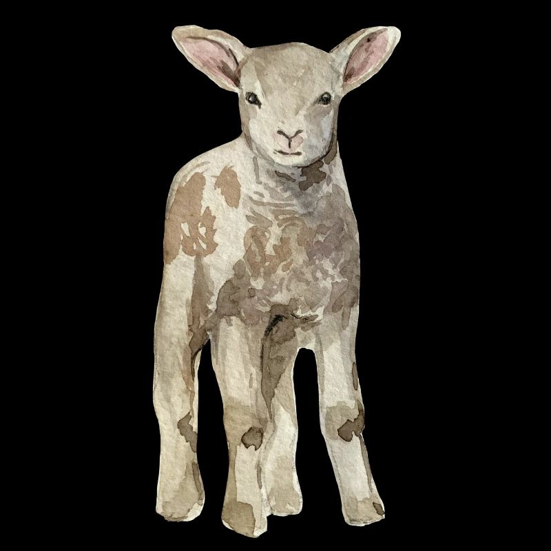 Sheep Baby