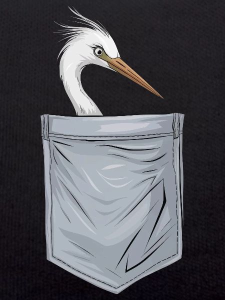 Reiher Vogel