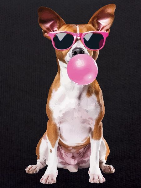 Basenji