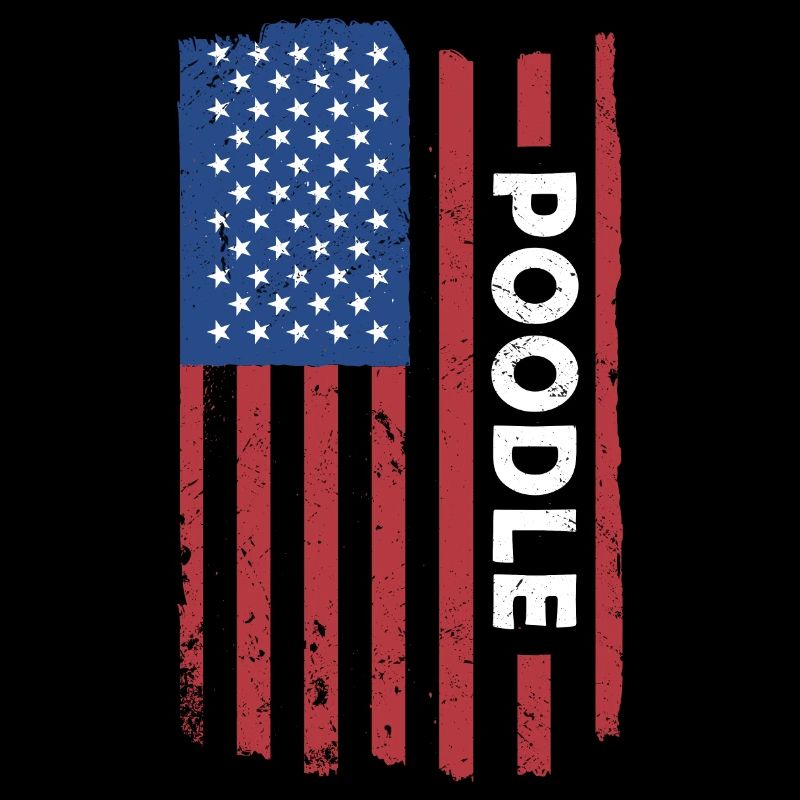 Caniche Us Flag