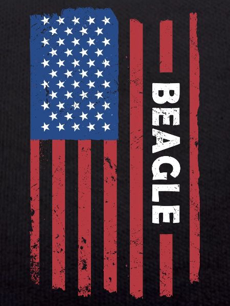 Beagle Us Flag