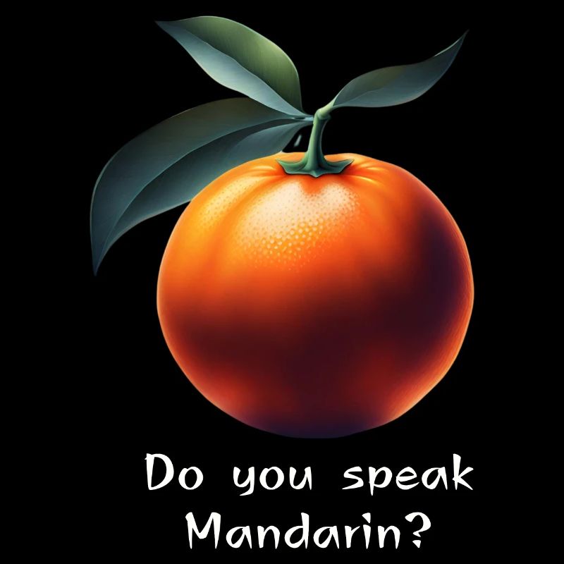 Talking Mandarin Magic: Do You Speak Chinese?