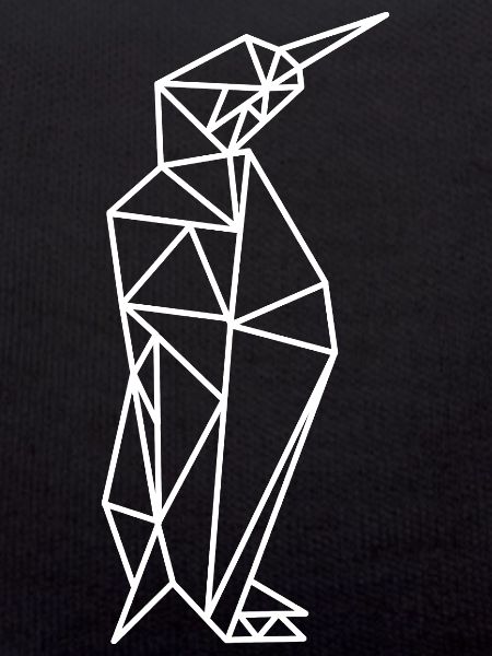 Penguin Geometry Lines