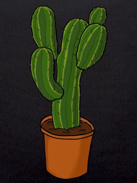 Cactus