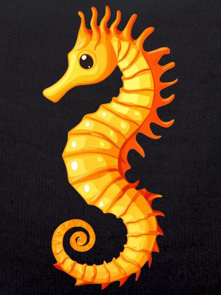 Hippocampe
