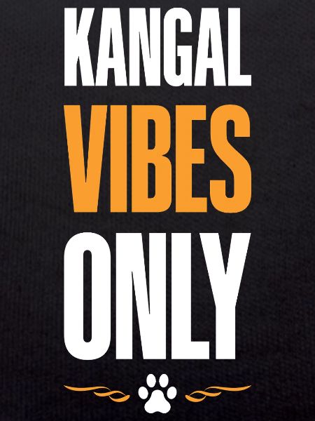 Kangal Vibes Only
