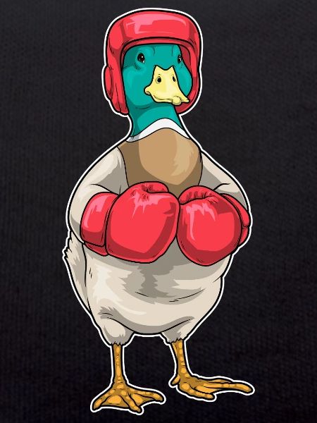 Duck Boxer Boxing Gloves Boxing