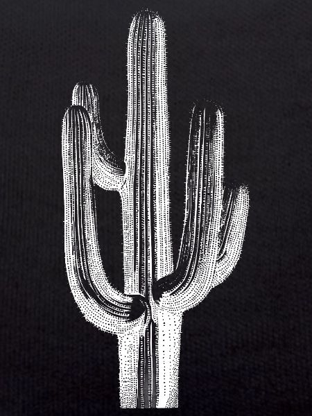 Cactus Brushstroke Sketch