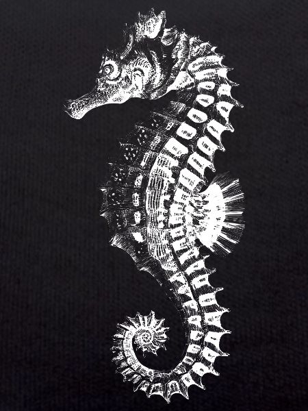 Silhouette complexe d’hippocampe