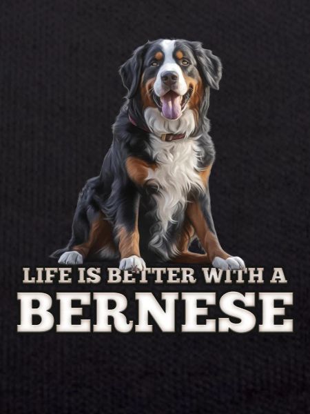 Bouvier bernois