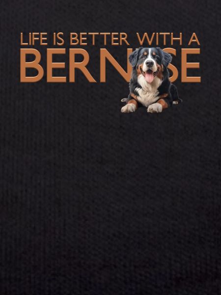 Bouvier bernois