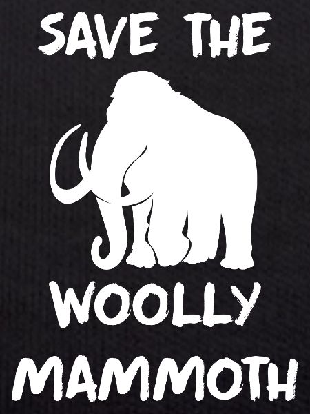 Mammoth