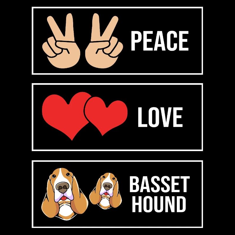 Basset Hound
