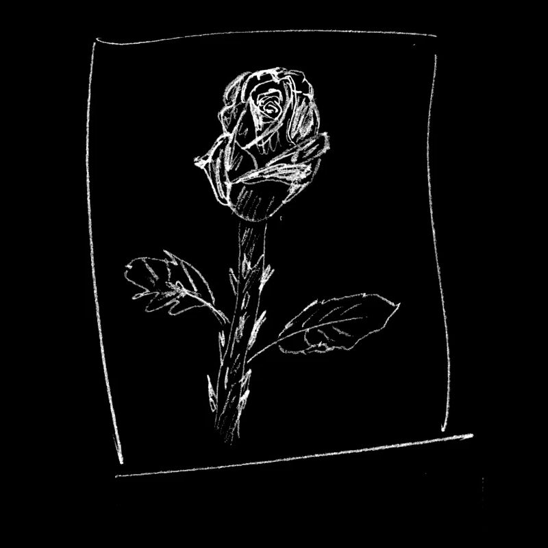 rosenbaum for dark