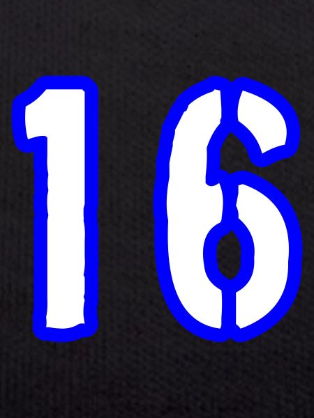 16 Number Symbol