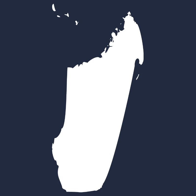 Madagascar map flag
