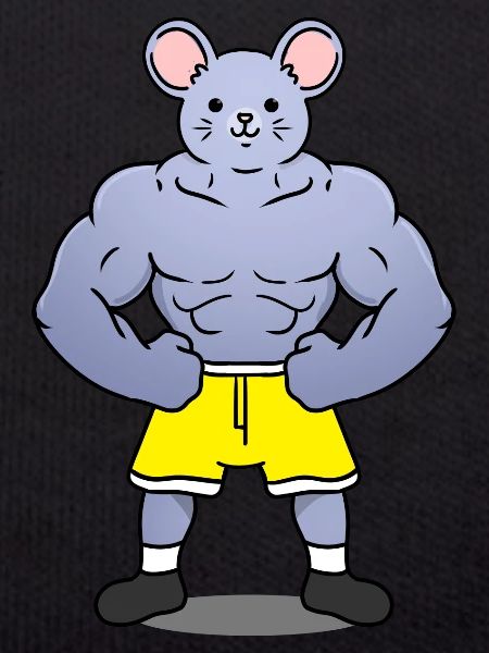 Muscular mouse
