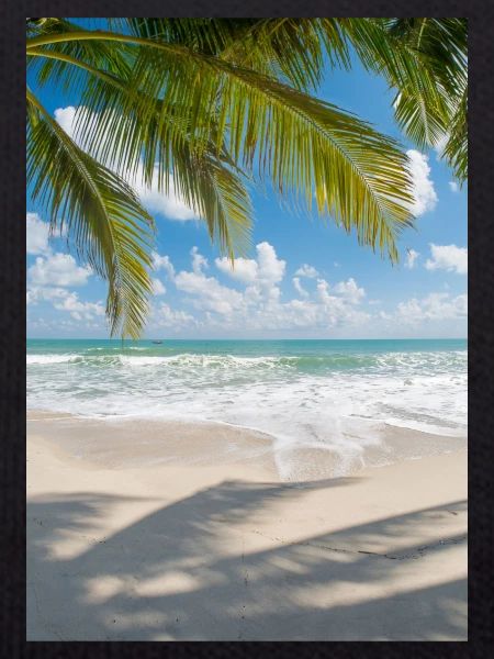 Summer