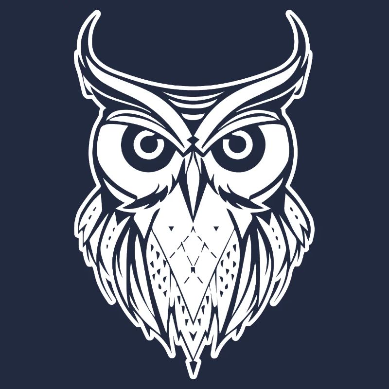 Eule Eulen Vogel Vögel