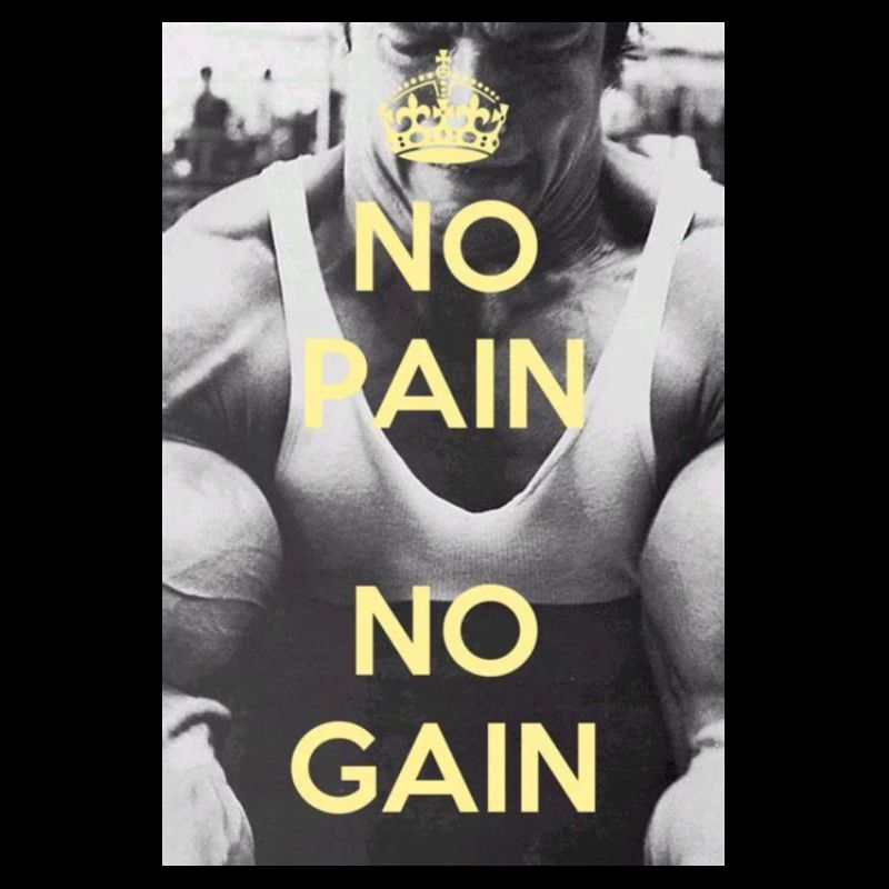 No Pain No Gain tshirt Kleidung Geschenk Gym