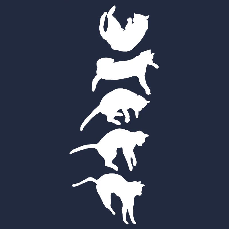 Réflexe de redressement du chat qui tombe