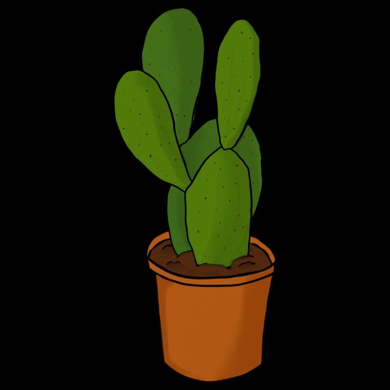 Cactus