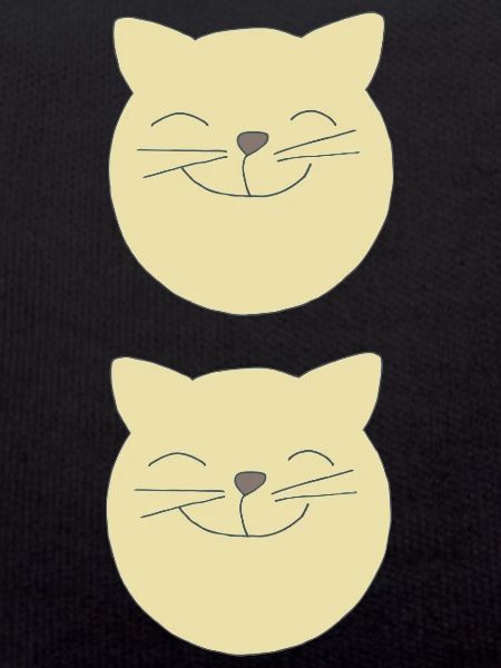 Katzen doppelt