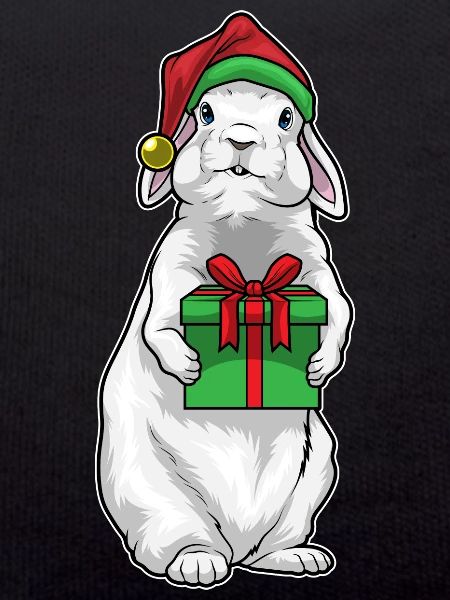 Bunny Christmas Package