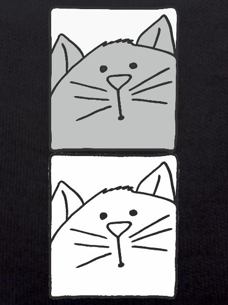 Cat Grey and White