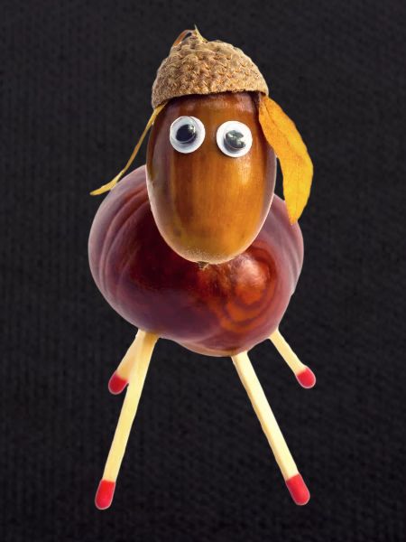 chestnut sheep