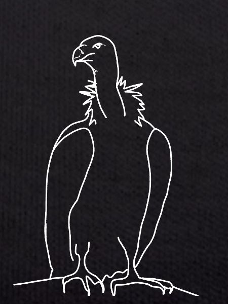 Vulture linear