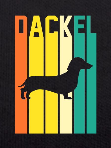 Chien teckel