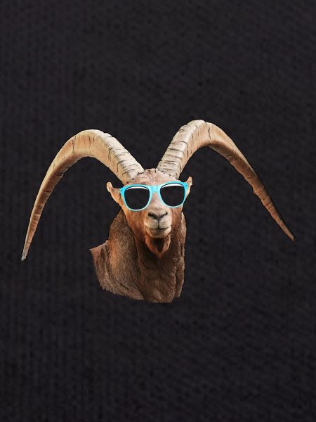 angesagter Steinbock