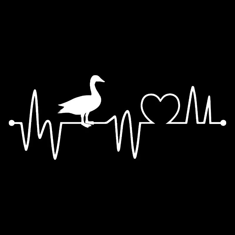 Ducks