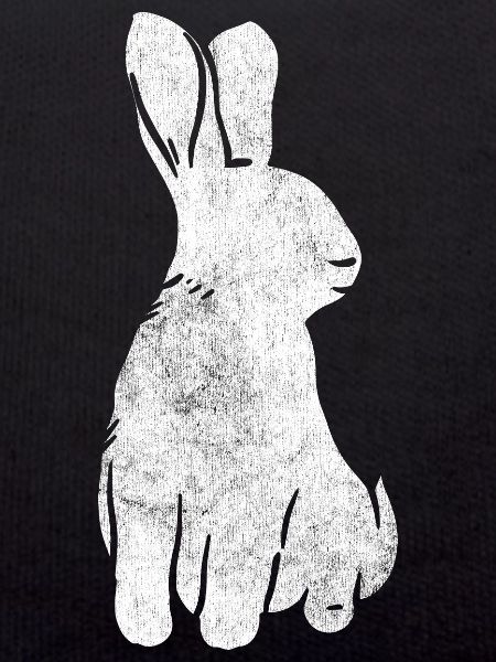 Lapin lapin lapin