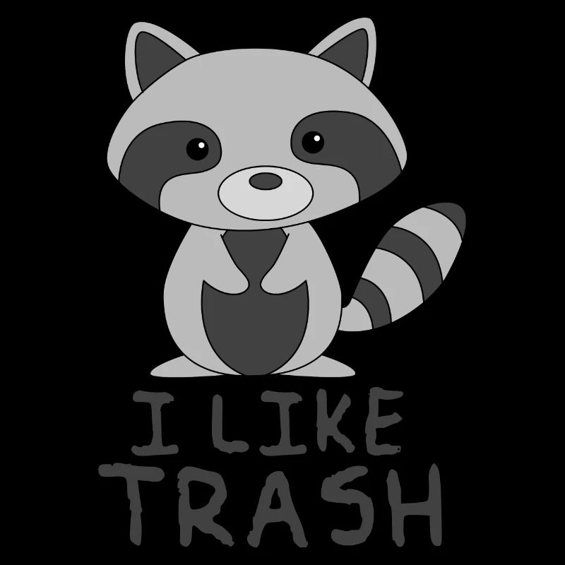 Racoon - I like Trash