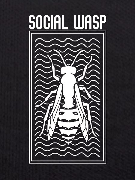 WASP wasp wasp bee