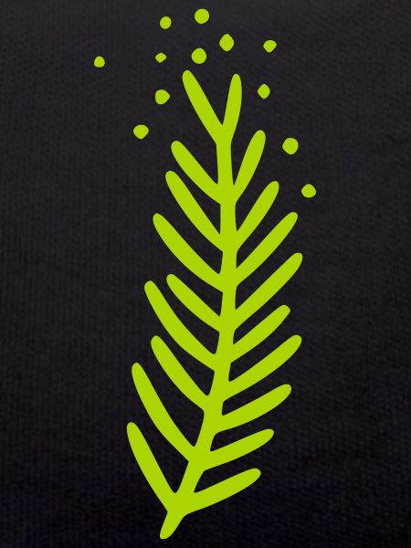Motif de branche
