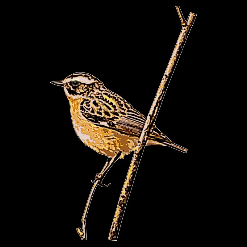 Braunkehlchen