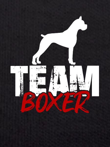 Team Boxer