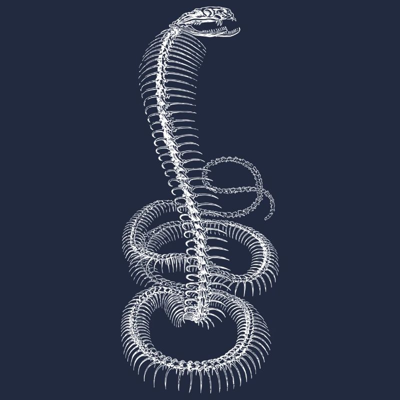 Cobra