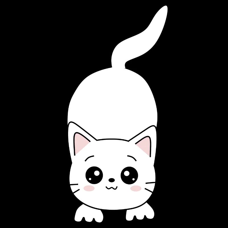 Chat Blanc Blanc Chats Kawaii Chat Mignon