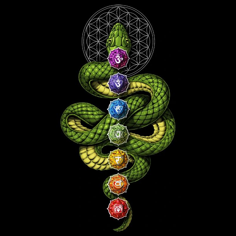 Kundalini Chakras