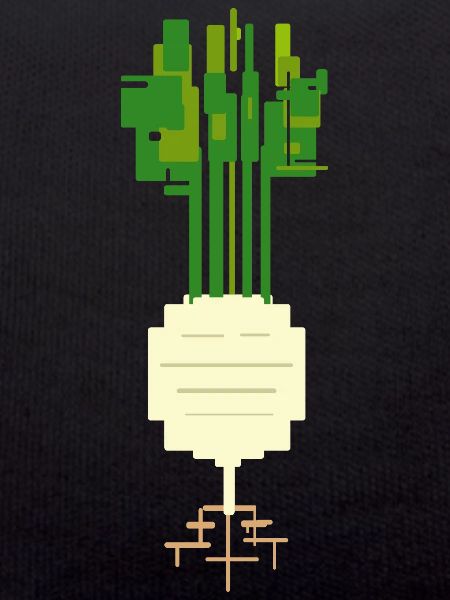 Kohlrabi